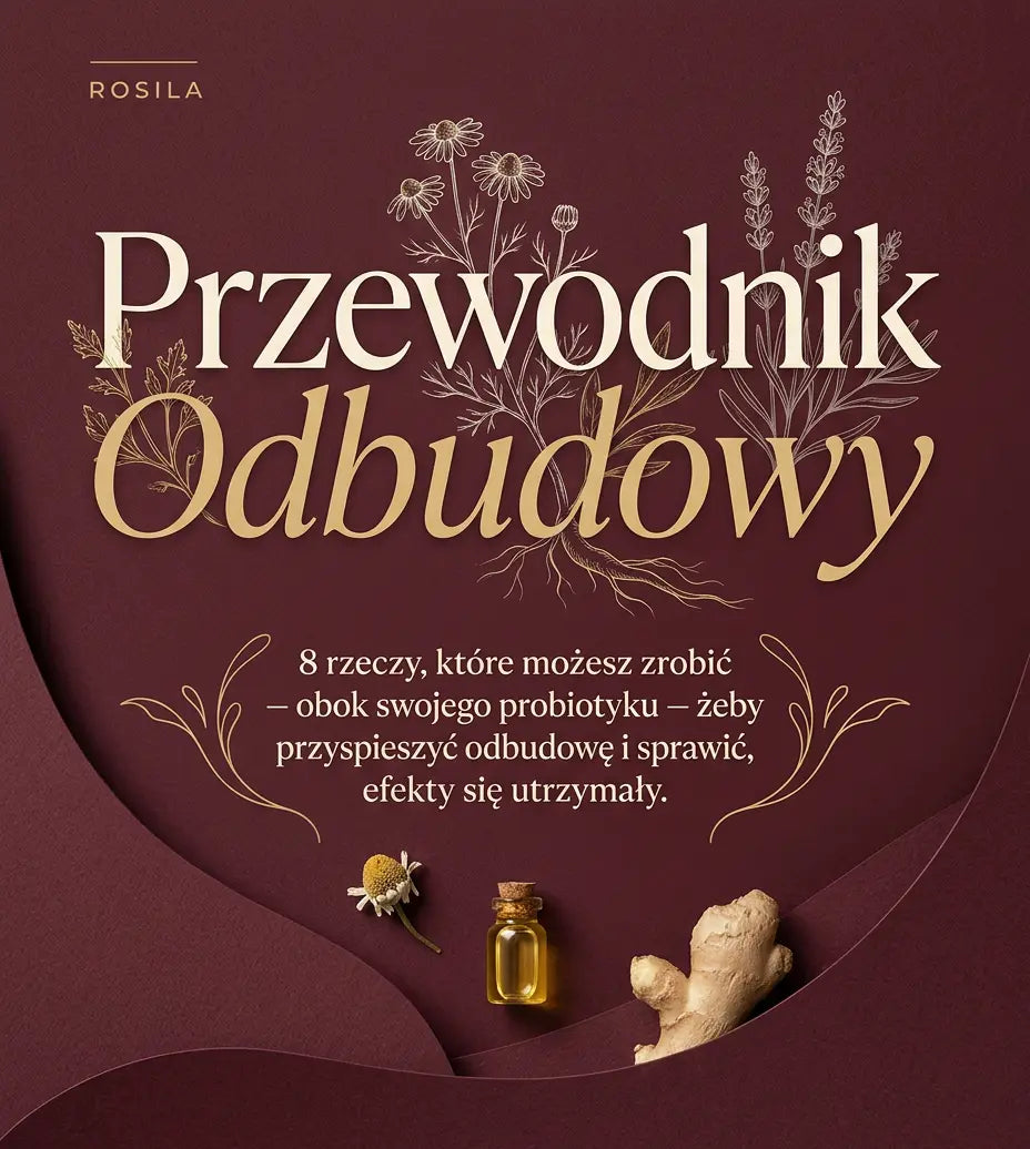 Przewodnik Odbudowy - Ebook
